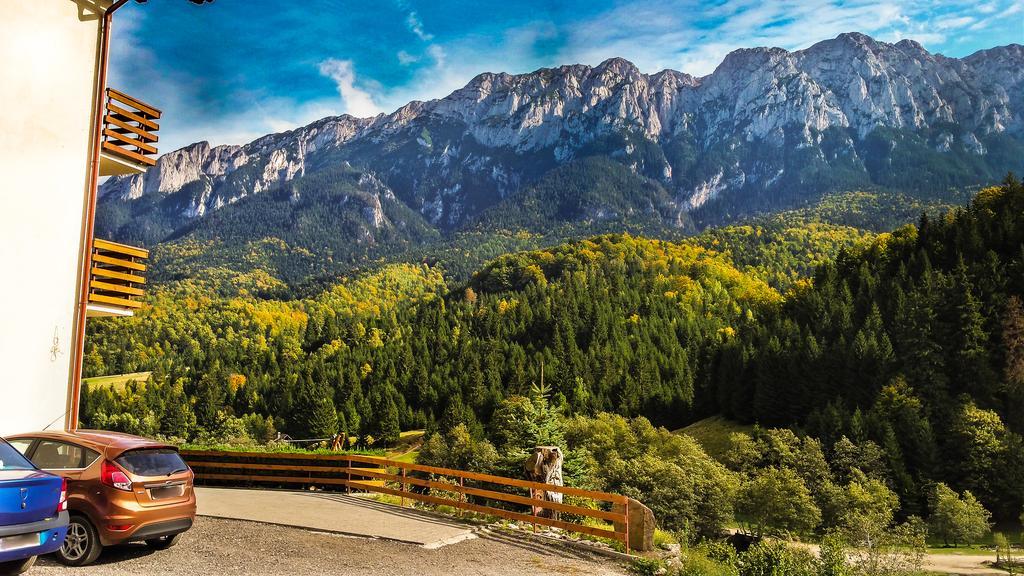 Hotel Panorama Pietrei Craiului Zărneşti Exterior foto