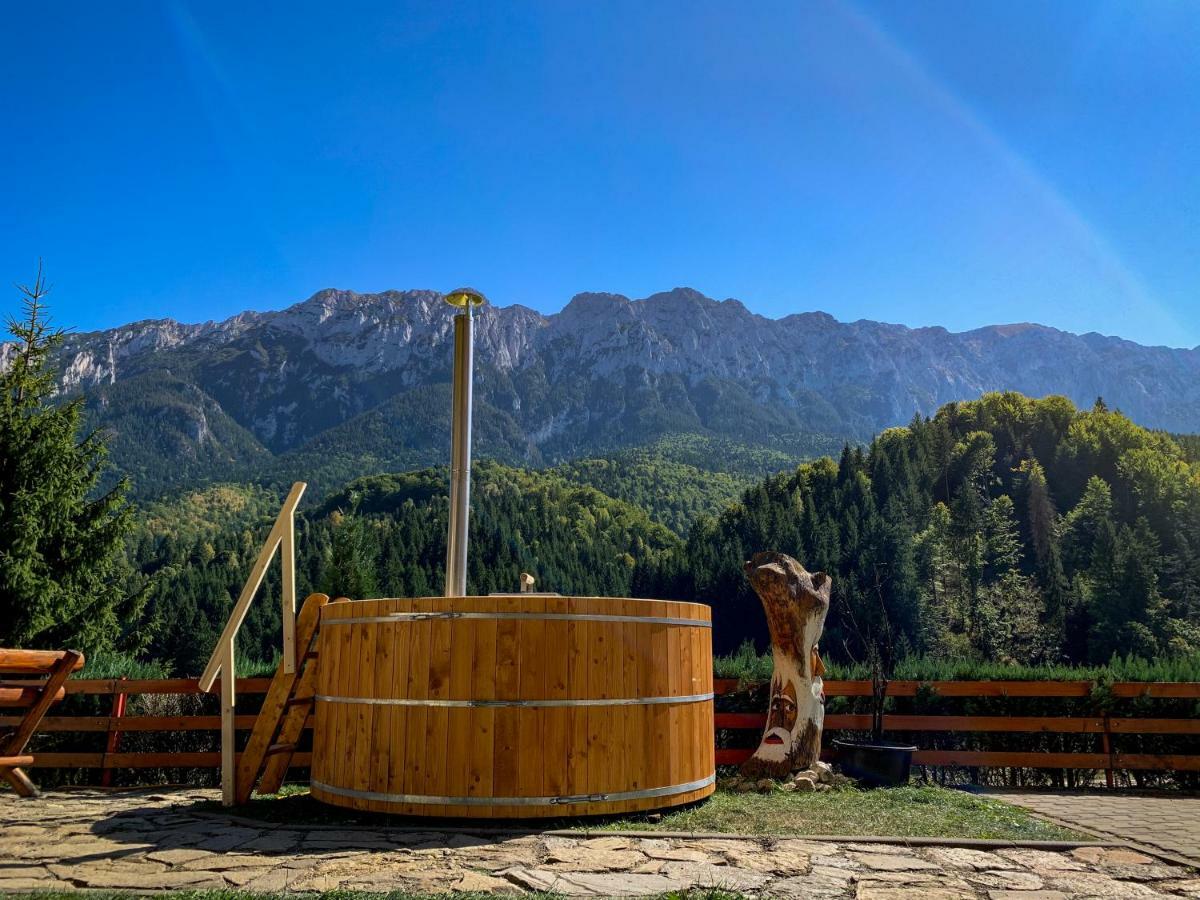 Hotel Panorama Pietrei Craiului Zărneşti Exterior foto